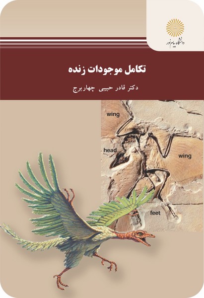 تکامل موجودات زنده